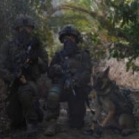 IDF troops and dog IDF photo